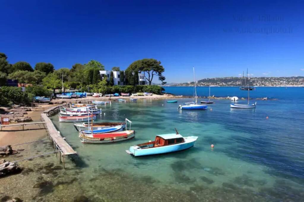Coeur De Juan, Calme, 300M Plages - Easy Check-In Antibes Ngoại thất bức ảnh